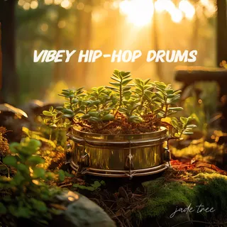 Vibey Hip-hop Drums