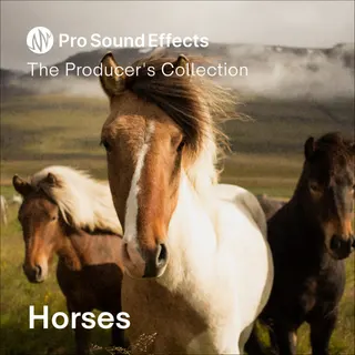 Horses