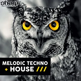 Melodic Techno & House