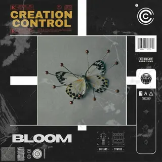 Creation Control