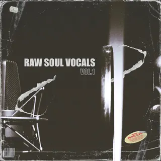 Raw Soul Vocals Vol.1