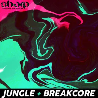 Breakcore & Jungle