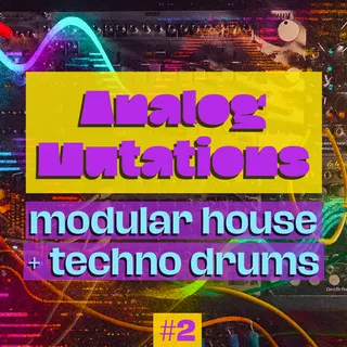 Analog Mutations modular house techno drums 2