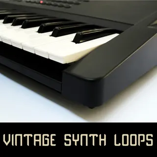 Vintage Synth Loops