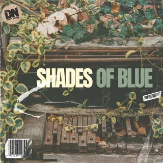 Shades Of Blue