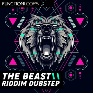 Function Loops