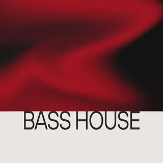 Bass House Vol.2