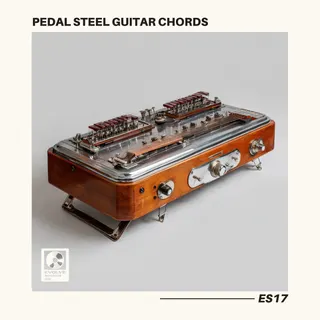 Evolve Sounds