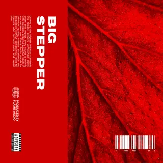 BIG STEPPER: Exclusive Piano Samples