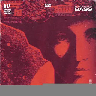 One Shot Series Bass