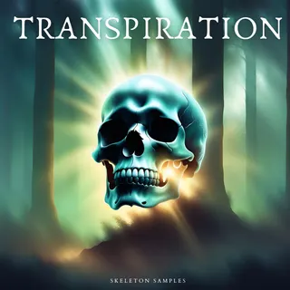 Transpiration - Melodic Techno