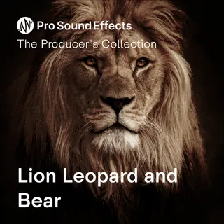 Pro Sound Effects