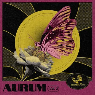 Aurum Vol.2