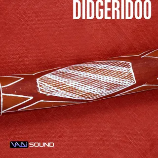 Didgeridoo