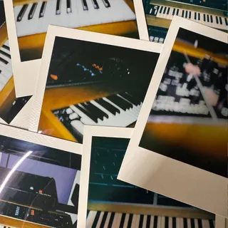 Moog Bass Hits