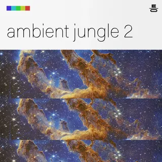 Ambient Jungle 2