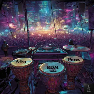 Afro EDM Percs vol.2