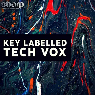 Key Labelled Tech Vox