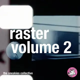 Raster Vol. 2