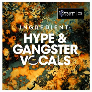 HYPE & GANGSTER VOCALS