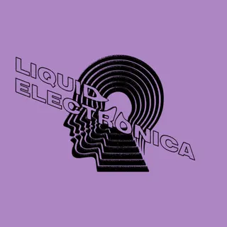 Liquid Electronica Vol. 2