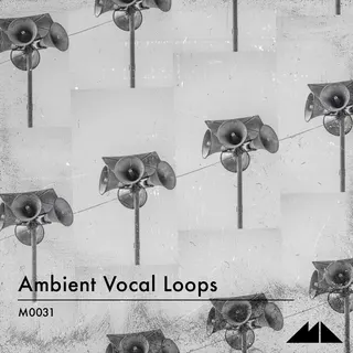 Ambient Vocal Loops