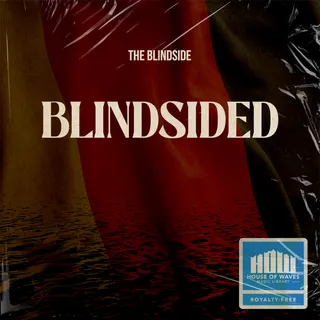 The Blindside