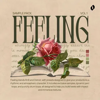 Feeling - RnB and Detroit