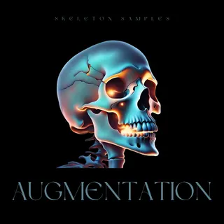 Augmentation