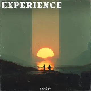 Experience