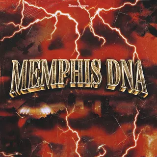 Memphis DNA
