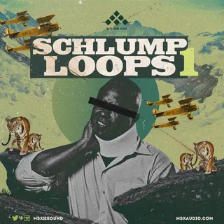 Schlump Loops 1
