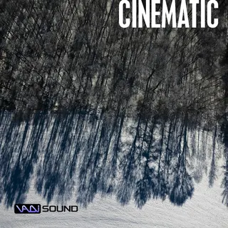 Cinematic Series