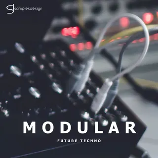 Modular Future Techno