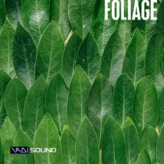 Foliage