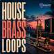 House Brass Loops