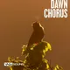 Dawn Chorus