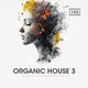 Organic House 3