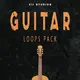 Guitar Unique Loops Vol. 1