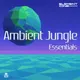 Ambient Jungle Essentials