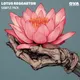 Lotus Reggaeton Sample Pack