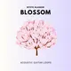 Blossom