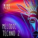 Melodic Techno 2
