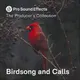 Birdsong and Calls