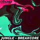 Breakcore & Jungle