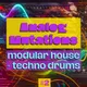 Analog Mutations modular house techno drums 2