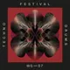 Festival Techno Drums