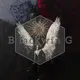 BlackwinG