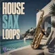 House Sax Loops