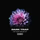 Dark Trap